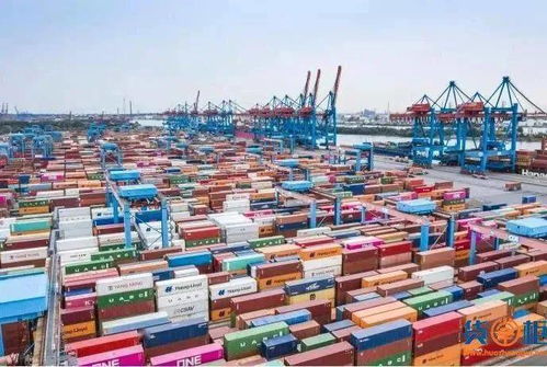 全球供应链震荡 越南停摆、孟加拉封城，纺服上游何去何从？