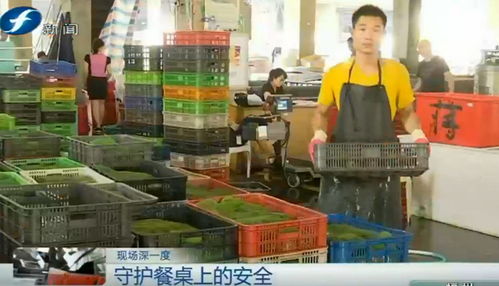 食品信息可追溯 给产品贴上“身份证”，还大伙儿一张健康的餐桌